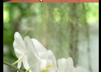 G1112006 ใครบอกทำดีไม่เคยได้ดี part2